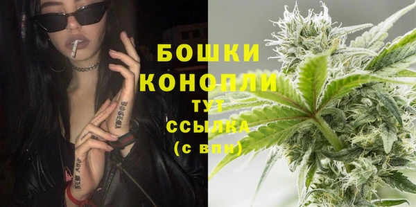 молекула духа Армянск