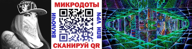 Псилоцибиновые грибы Psilocybe  Белокуриха 